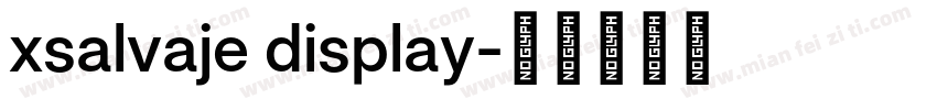 xsalvaje display字体转换